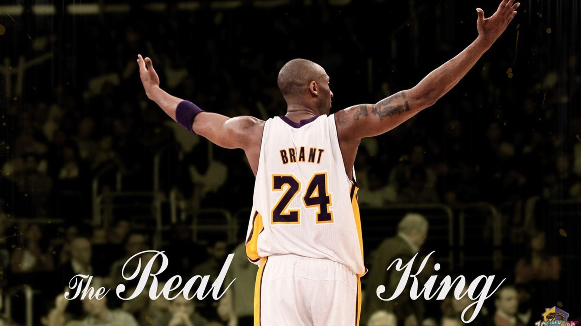 城市夜跑灯光盛典，点亮夜空的运动狂欢，夜光跑道实景